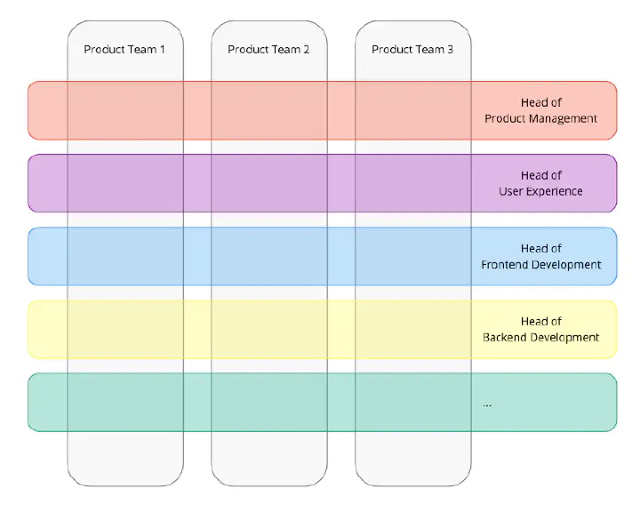 Classic matrix organization in a tech company.